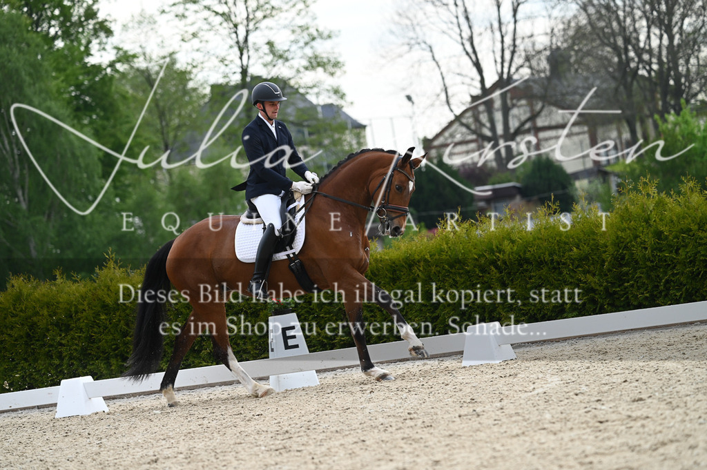 20230512_JK-Röhrsdorf-02-248 | Pferde- und Turnierfotografie in Westsachsen. Pferdeportraits, Auftragszeichnungen und intuitive Kunst.