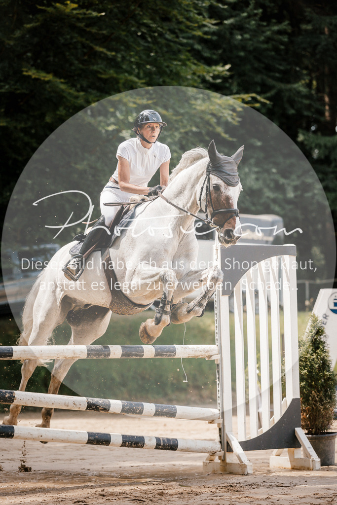 3I6A7725 | Stimmungsvolle Portraits und Reitsportfotografie im Ruhrgebiet und im Münsterland.

Pferdefotografie, Hundefotografie, Tierfotografie, Reportagen, Portraits von Tier und Mensch, Turnierfotografie in Bochum, Recklinghausen, Marl, Haltern am See, Dülmen.. - Realisiert mit Pictrs.com