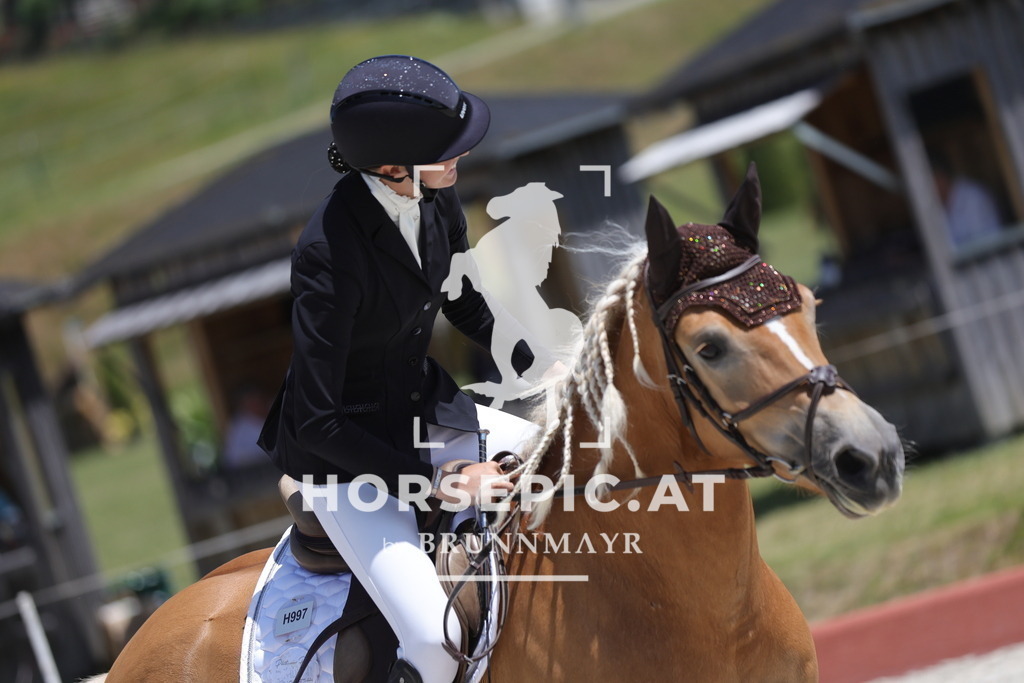 0P6A8844 | Willkommen bei Brunnmayr - Design & Fotografie – Ihrem Spezialisten für Reitturniere und Pferdeveranstaltungen in Oberösterreich, Salzburg und Bayern! Seit über 17 Jahren sind wir leidenschaftlich dabei.