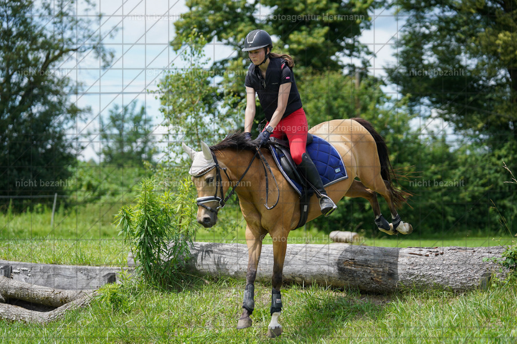 20240622-FAH07507 | Turnierfotografen Bayern, Reitsportbilder aus dem Geländekurs mit Felix Etzel auf dem Gut Waitzacker 2024