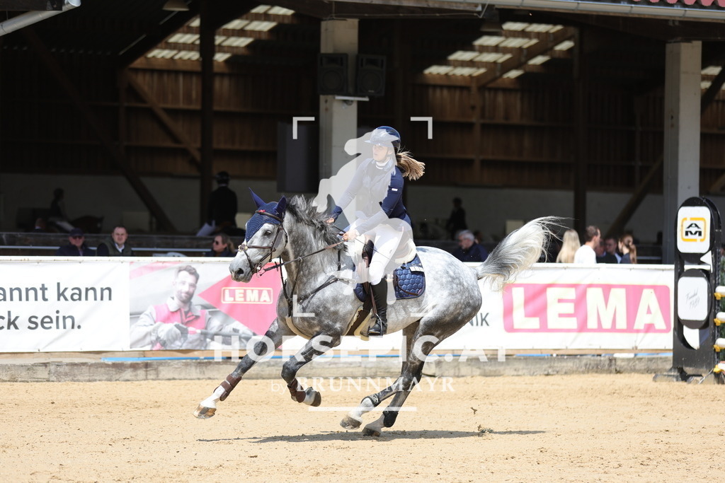 0P6A3994 | Willkommen bei Brunnmayr - Design & Fotografie – Ihrem Spezialisten für Reitturniere und Pferdeveranstaltungen in Oberösterreich, Salzburg und Bayern! Seit über 17 Jahren sind wir leidenschaftlich dabei.