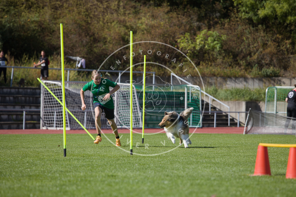 0L8A7309 | Hundefotografie, Tierfotograf, Pfotenfotografie, Fotoshooting Hund, Hunde Portrait, Hundesport, Hundeportraits, Heideshooting, Hunde, Sportfotograf, Hundefotograf, Turnierhundsport, THS,  - Realisiert mit Pictrs.com