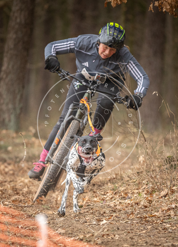 Pfotenfotografie_DV3A2776 | Hundefotografie, Tierfotograf, Pfotenfotografie, Fotoshooting Hund, Hunde Portrait, Hundesport, Hundeportraits, Heideshooting, Hunde, Sportfotograf, Hundefotograf, Turnierhundsport, THS,  - Realisiert mit Pictrs.com