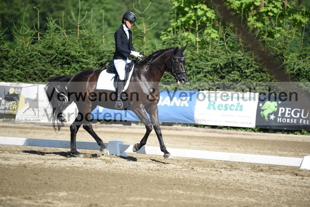 DSC_7390 | equestrian-live-com