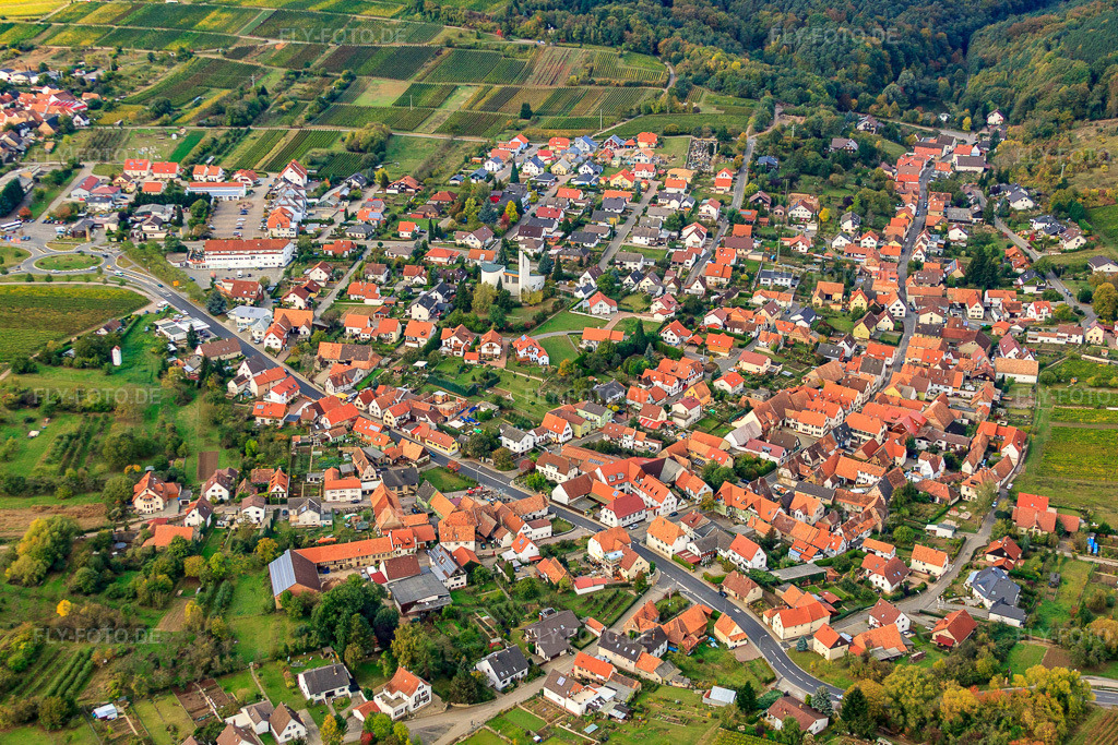 Luftbild: B38 im Ortsteil Rechtenbach in Schweigen-Rechtenbach im Bundesland Rheinland-Pfalz in Deutschland. Foto: IMG_22456.jpg vom 15.10.2009 durch Werner Riehm/FLY-FOTO.de