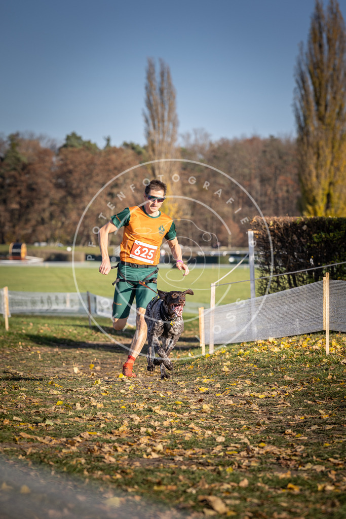 CaniXpix_DV3A9991 | Hundefotografie, Tierfotograf, Pfotenfotografie, Fotoshooting Hund, Hunde Portrait, Hundesport, Hundeportraits, Heideshooting, Hunde, Sportfotograf, Hundefotograf, Turnierhundsport, THS,  - Realisiert mit Pictrs.com