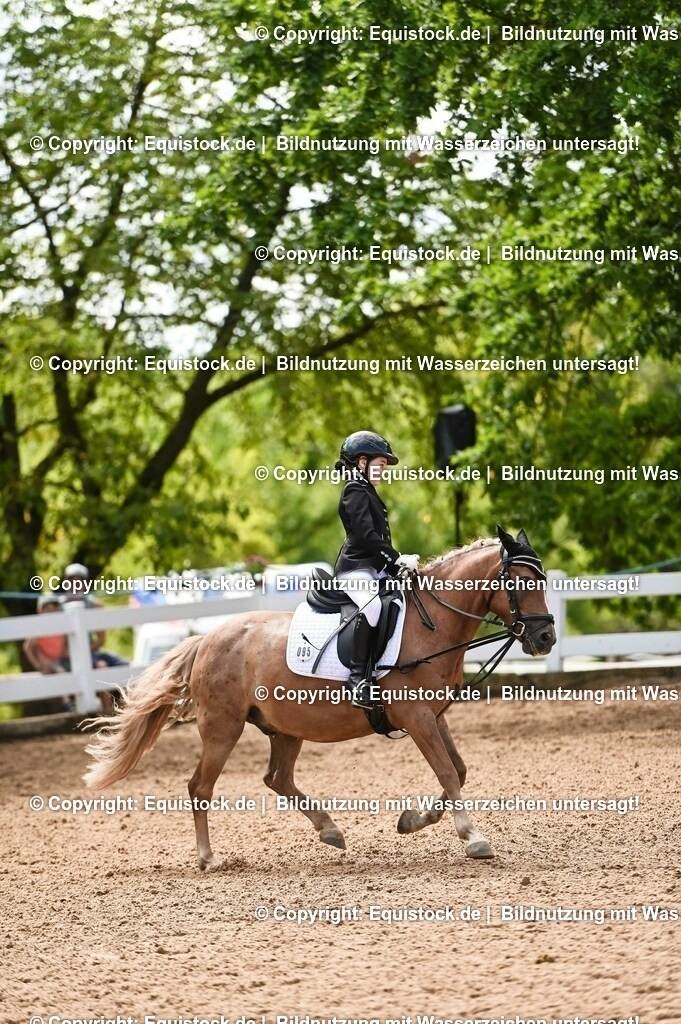 20230716_10-3_Reiter-WB Schritt - Trab - Galopp_0170 | equistock