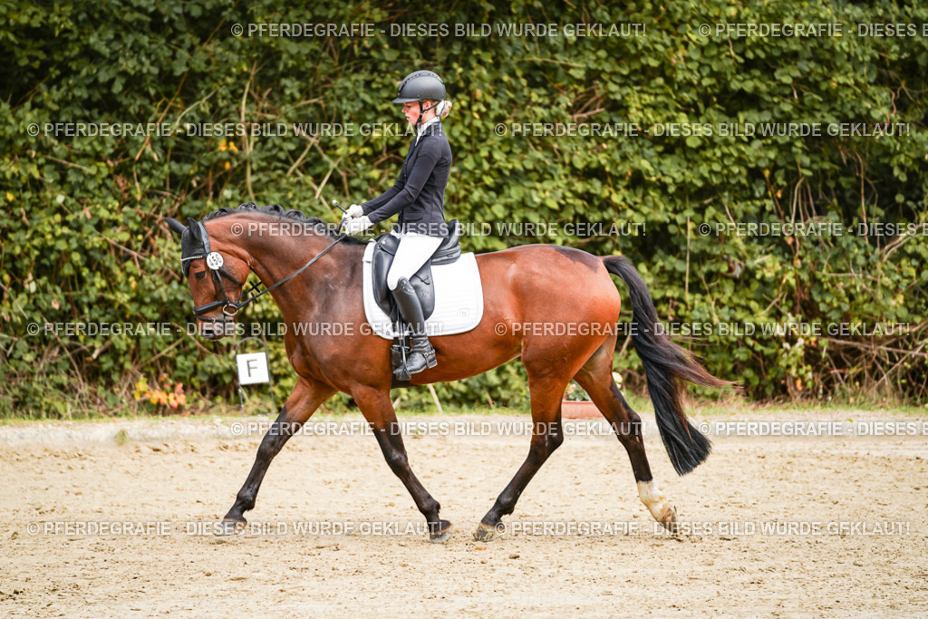 DSC00655 | Pferdegrafie