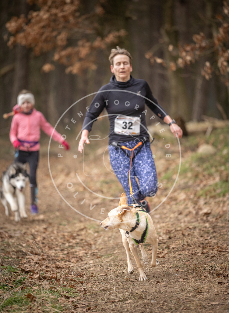Pfotenfotografie_DV3A4997 | Hundefotografie, Tierfotograf, Pfotenfotografie, Fotoshooting Hund, Hunde Portrait, Hundesport, Hundeportraits, Heideshooting, Hunde, Sportfotograf, Hundefotograf, Turnierhundsport, THS,  - Realisiert mit Pictrs.com