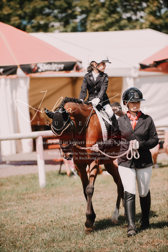 DSC_6253 | Pferde- und Turnierfotografie in Westsachsen. Pferdeportraits, Auftragszeichnungen und intuitive Kunst.
