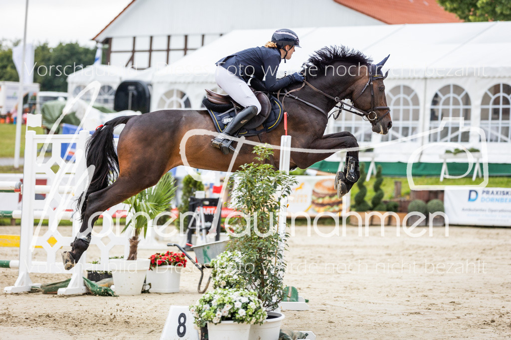 BHO-2PhSpr-M-233 | MomenTaufnahmen Pferdesportfotos