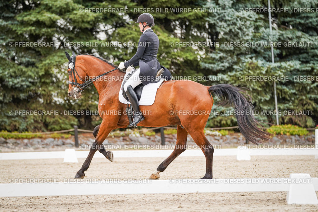 DSC07555 | Pferdegrafie