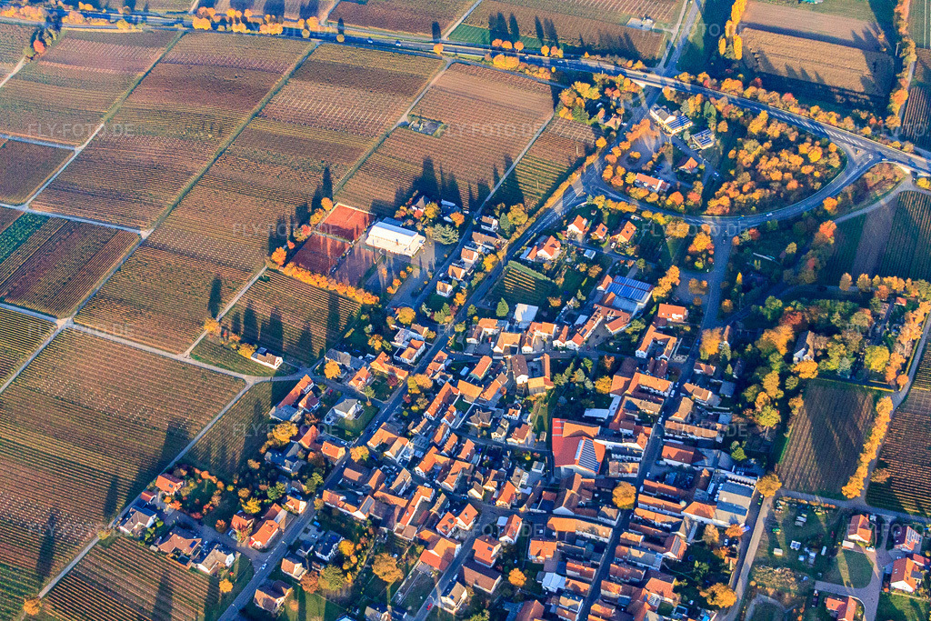 Luftbild: Ortsansicht von Südwesten in Walsheim im Bundesland Rheinland-Pfalz in Deutschland. Foto: IMG_46215.jpg vom 31.10.2011 durch Werner Riehm/FLY-FOTO.deAuflösung des Originals: 4752 x 3168 px