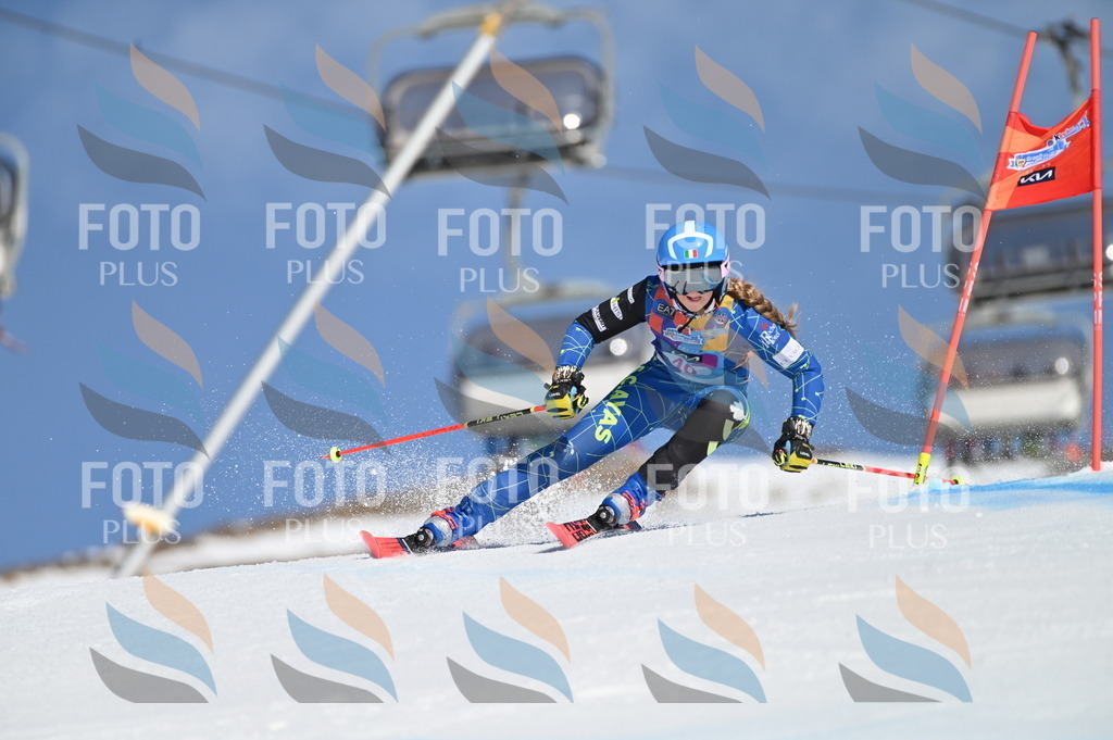 BGV_8511 | holidayphoto