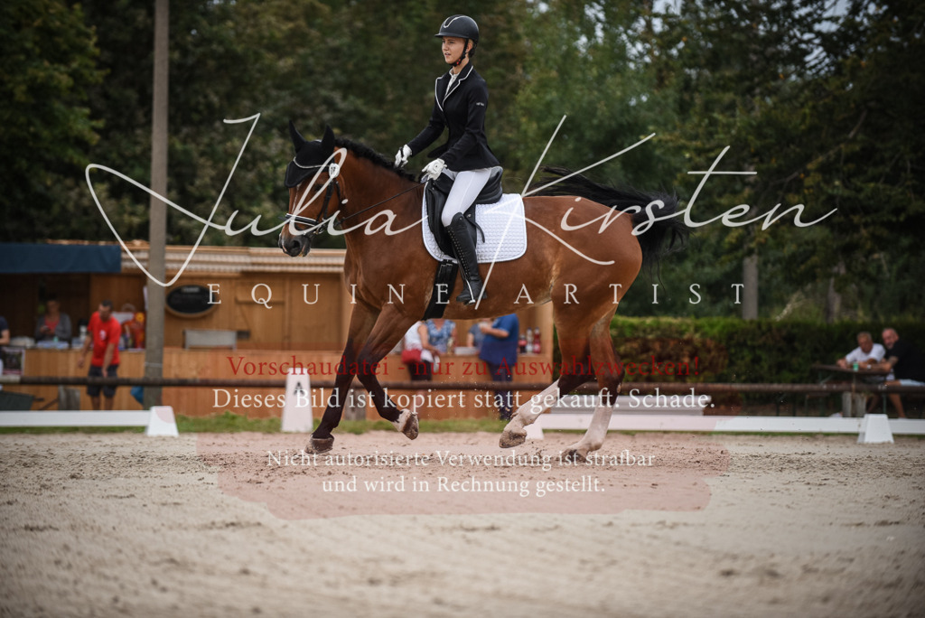DSC_8287 | Pferde- und Turnierfotografie in Westsachsen. Pferdeportraits, Auftragszeichnungen und intuitive Kunst.