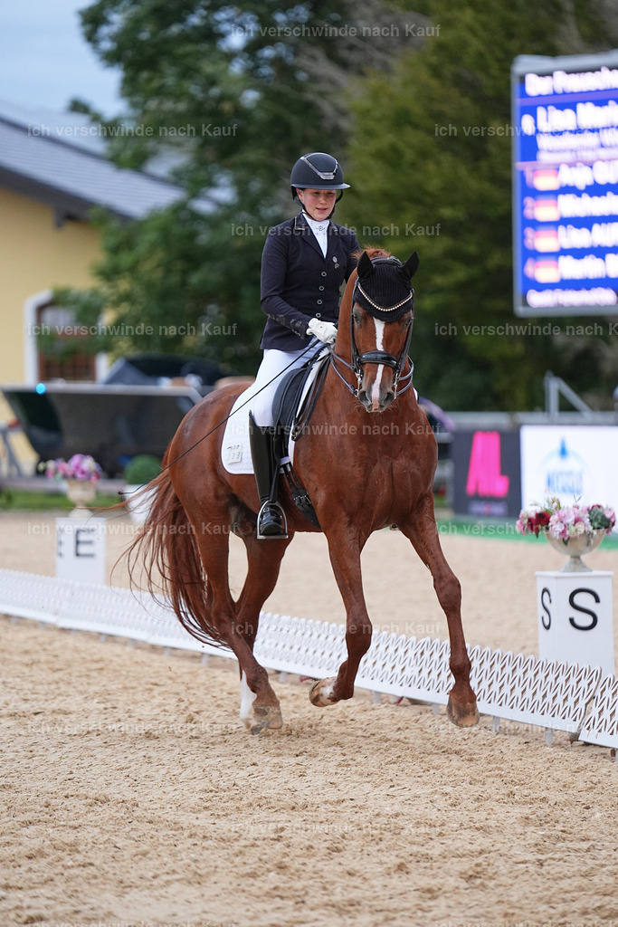 04_2-223-Dressur M__ -Marixx-3072 | working equitationturnier fotograf videograf stoibphotography marixx film working equitation deutschland reitsport turnierfotografie eventfotografie equestrian events