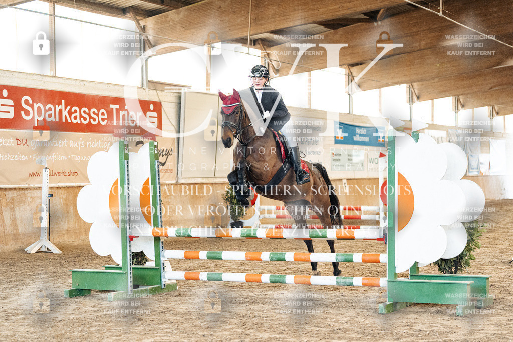 CK903772 | Turnierfotografie Pferdefotografie Trier Rheinland-Pfalz Pferdesport Reitsport Tierfotografie Sportfotografie Pferdevideo Pferdevideografie Equestrianvideography equestrianphotography  - Realisiert mit Pictrs.com