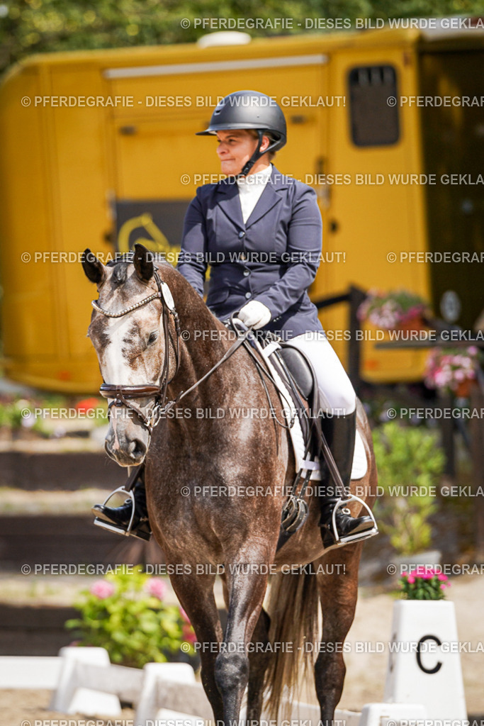 DSC03184 | Pferdegrafie