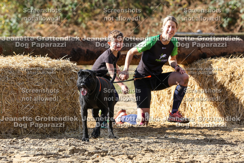 Dog Paparazzi - Strongdog 10-25-4895 | Dog Paparazzi Jeanette Grottendiek Fotografie & Videografie - Realisiert mit Pictrs.com