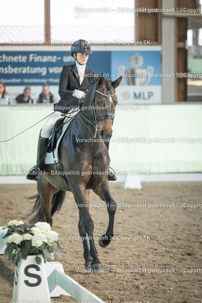 _D5A2751 | Emotionale Pferde- & People-Fotografie rund um Heidelberg, Leimen & Umgebung. Natürliche Fotos von Pferd, Mensch & Familie. Jetzt Termin sichern!