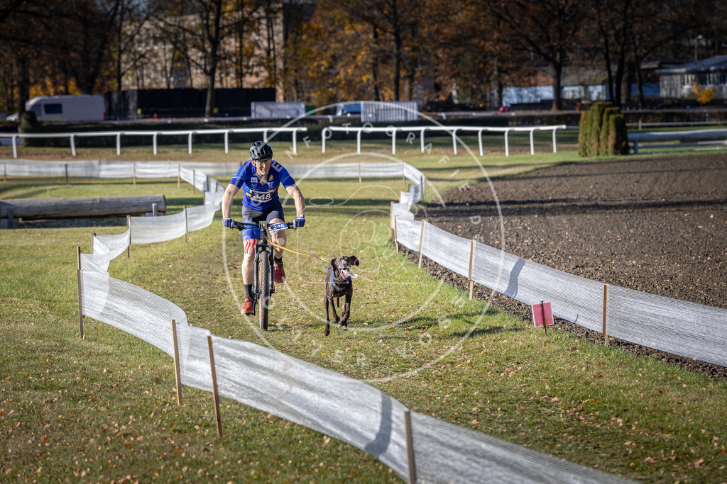 CaniXpix_DV3A7064 | Hundefotografie, Tierfotograf, Pfotenfotografie, Fotoshooting Hund, Hunde Portrait, Hundesport, Hundeportraits, Heideshooting, Hunde, Sportfotograf, Hundefotograf, Turnierhundsport, THS,  - Realisiert mit Pictrs.com