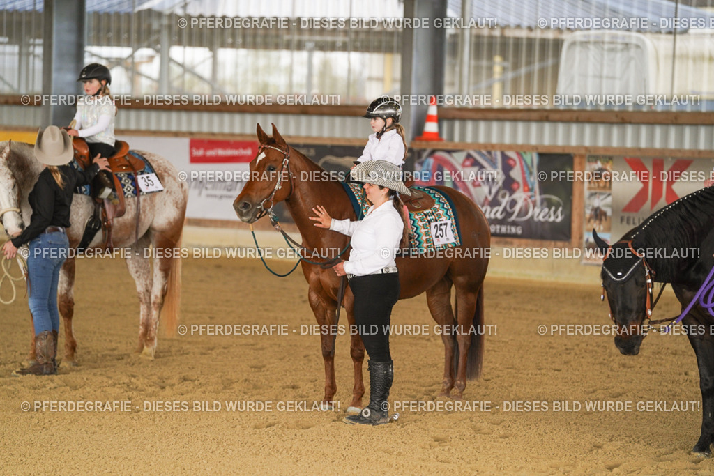 DSC00938 | Pferdegrafie