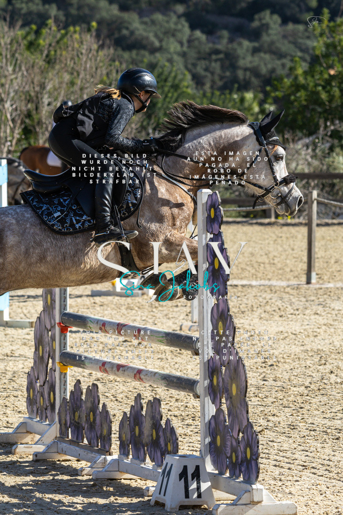 IMG_3846 | s-jay-photography - Realisiert mit Pictrs.com