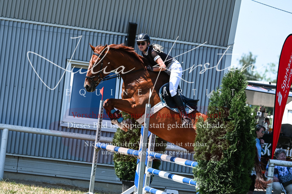 DSC_0485 | Pferde- und Turnierfotografie in Westsachsen. Pferdeportraits, Auftragszeichnungen und intuitive Kunst.