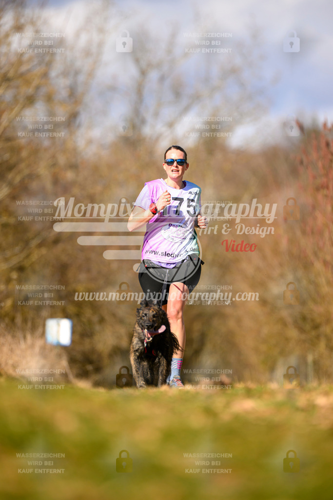 MompixPhotography_10Schwabentrail2026_SO_Canicross-91 | PayLife