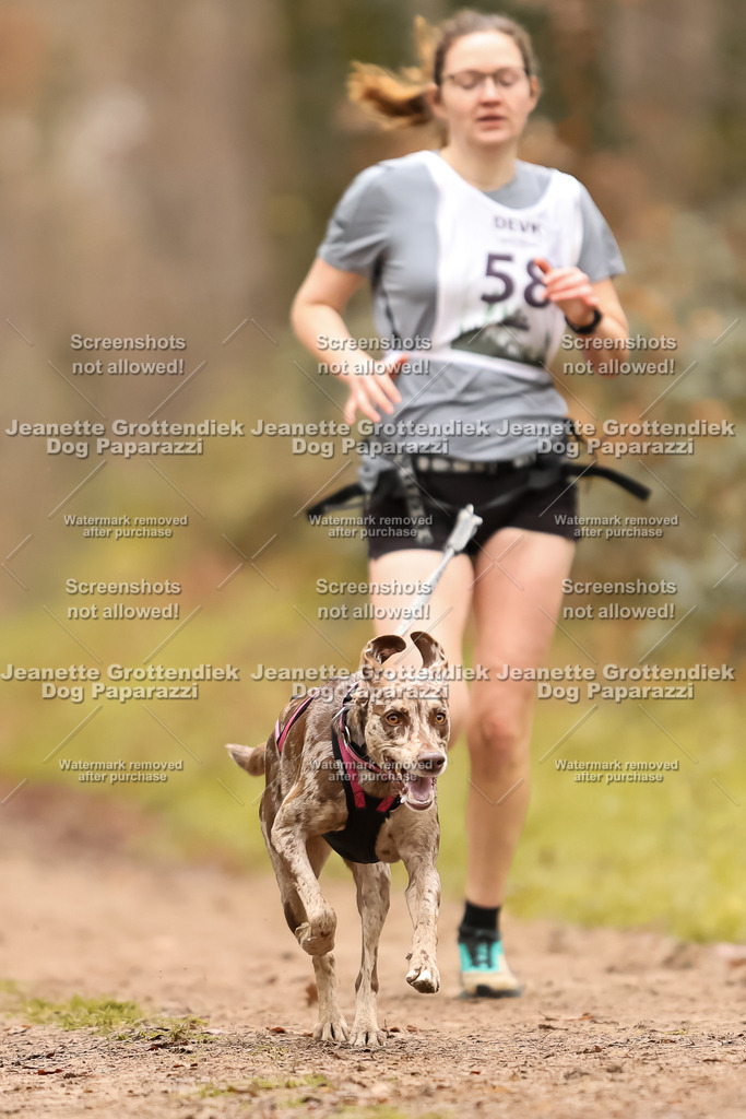 Dog Paparazzi - Speedhunter Mannheim  2025-166 | Dog Paparazzi Jeanette Grottendiek Fotografie & Videografie