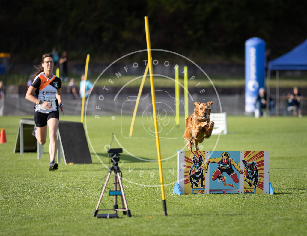 Pfotenfotografie_DV3A2436 | Hundefotografie, Tierfotograf, Pfotenfotografie, Fotoshooting Hund, Hunde Portrait, Hundesport, Hundeportraits, Heideshooting, Hunde, Sportfotograf, Hundefotograf, Turnierhundsport, THS,  - Realisiert mit Pictrs.com