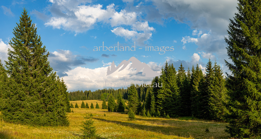 _Z5A0286-Pano | Medien- Sport- Entertainmentfotos