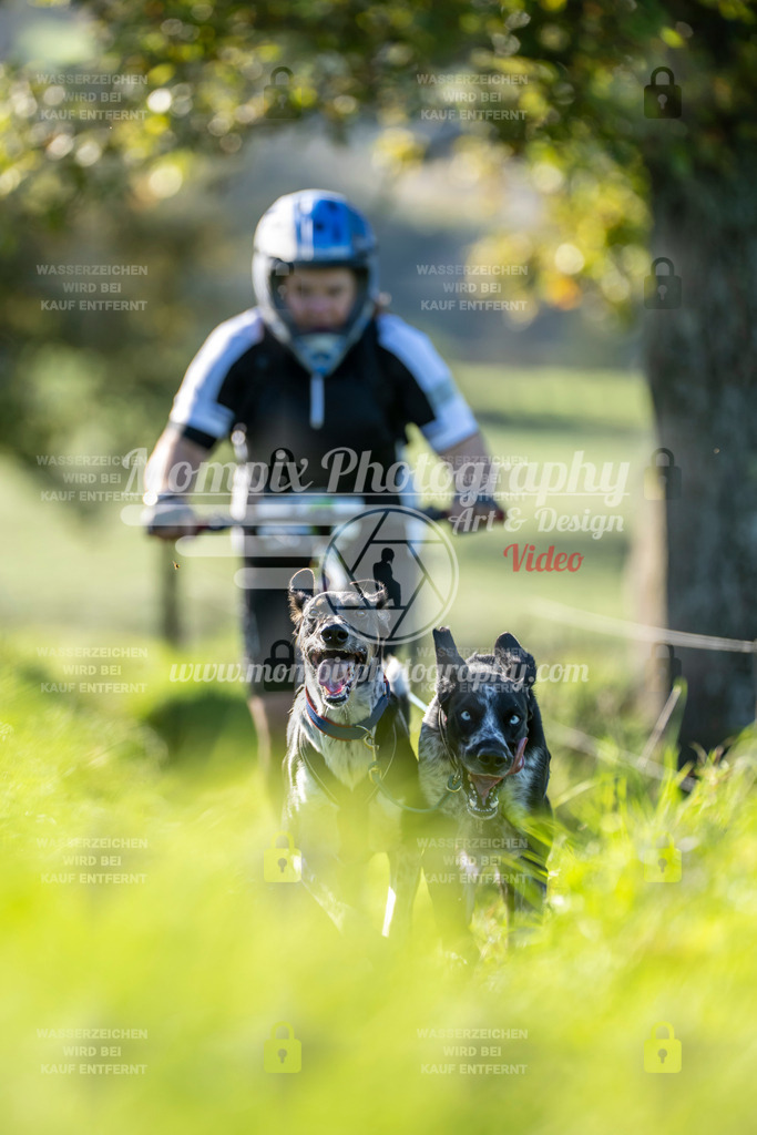 MompixPhotography_20TSB_E3_DS2-38 | PayLife