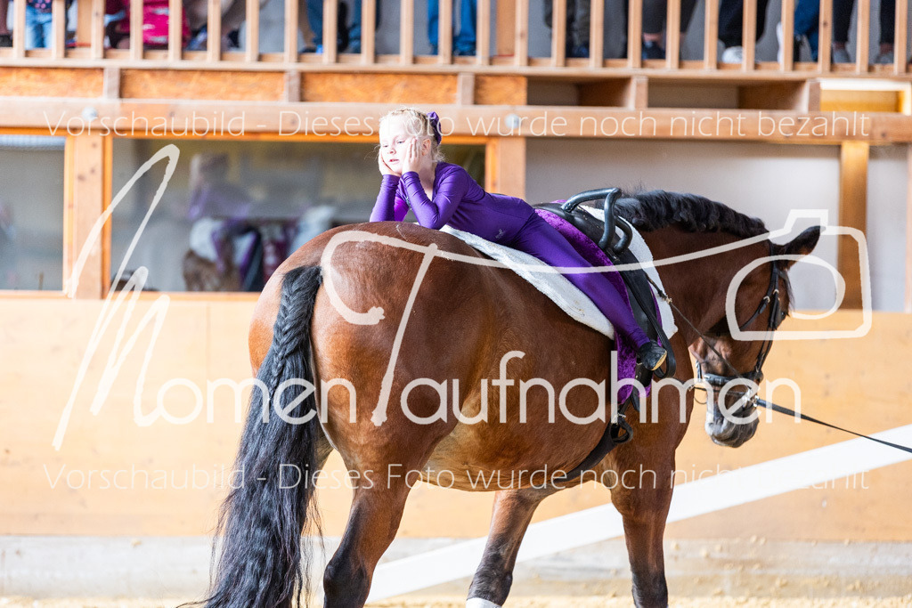 SS-Mini-260 | MomenTaufnahmen Pferdesportfotos