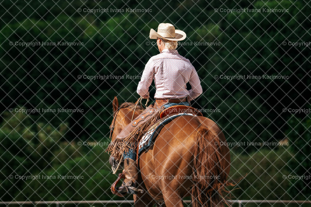 DSC08889 | ikphotography - Realisiert mit Pictrs.com
