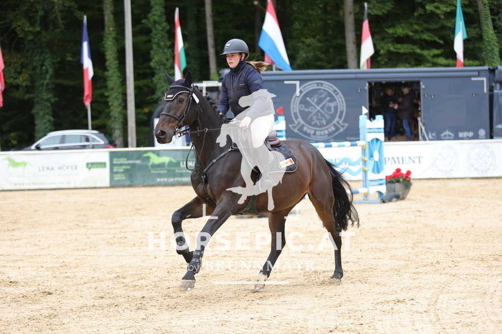 0P6A8941 | Willkommen bei Brunnmayr - Design & Fotografie – Ihrem Spezialisten für Reitturniere und Pferdeveranstaltungen in Oberösterreich, Salzburg und Bayern! Seit über 17 Jahren sind wir leidenschaftlich dabei.