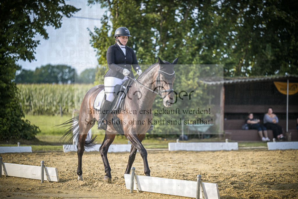 DOS_1386 | Entdecke hochwertige Reitturnierfotos von Foto Oger. Professionell, emotional und authentisch – jetzt Lieblingsmomente im Shop bestellen.Deutschlandweite Turnierfotografie. - Realisiert mit Pictrs.com