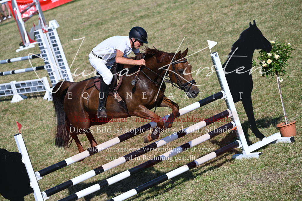 DSC_2262 | Pferde- und Turnierfotografie in Westsachsen. Pferdeportraits, Auftragszeichnungen und intuitive Kunst.