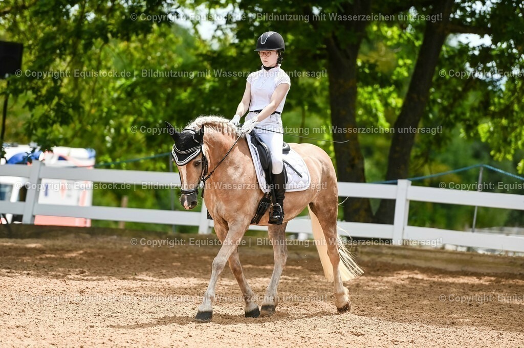 20230715_05_Dressurprüfung Kl.A++_0060 | equistock