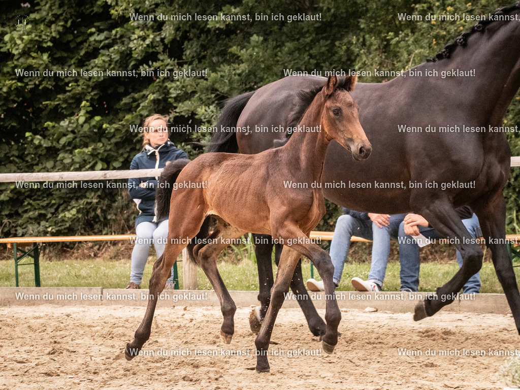 A10I5940 | photographylinaismer - Realisiert mit Pictrs.com