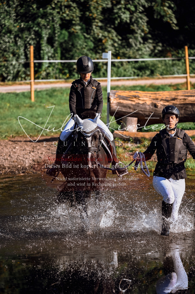 DSC_0388 | Pferde- und Turnierfotografie in Westsachsen. Pferdeportraits, Auftragszeichnungen und intuitive Kunst.