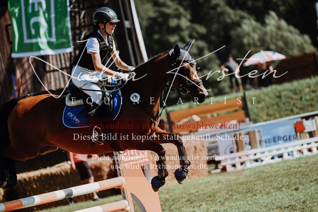 DSC_6932 | Pferde- und Turnierfotografie in Westsachsen. Pferdeportraits, Auftragszeichnungen und intuitive Kunst.