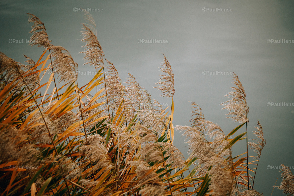 20221120_PaulHense_S0003_DSC03728-2 | paulhense - Realisiert mit Pictrs.com