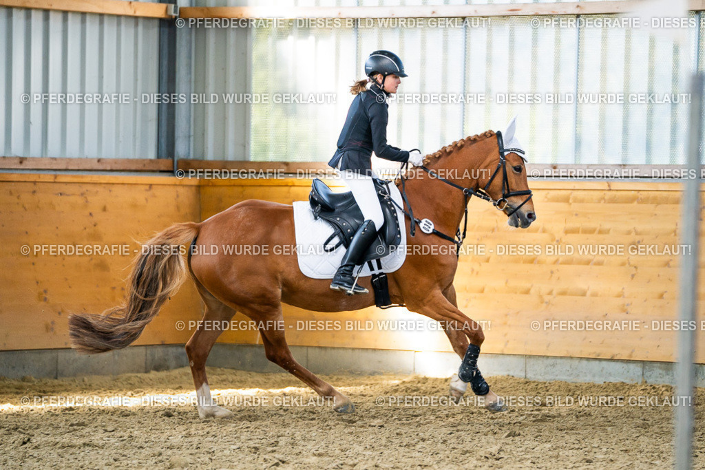 DSC01815 | Pferdegrafie