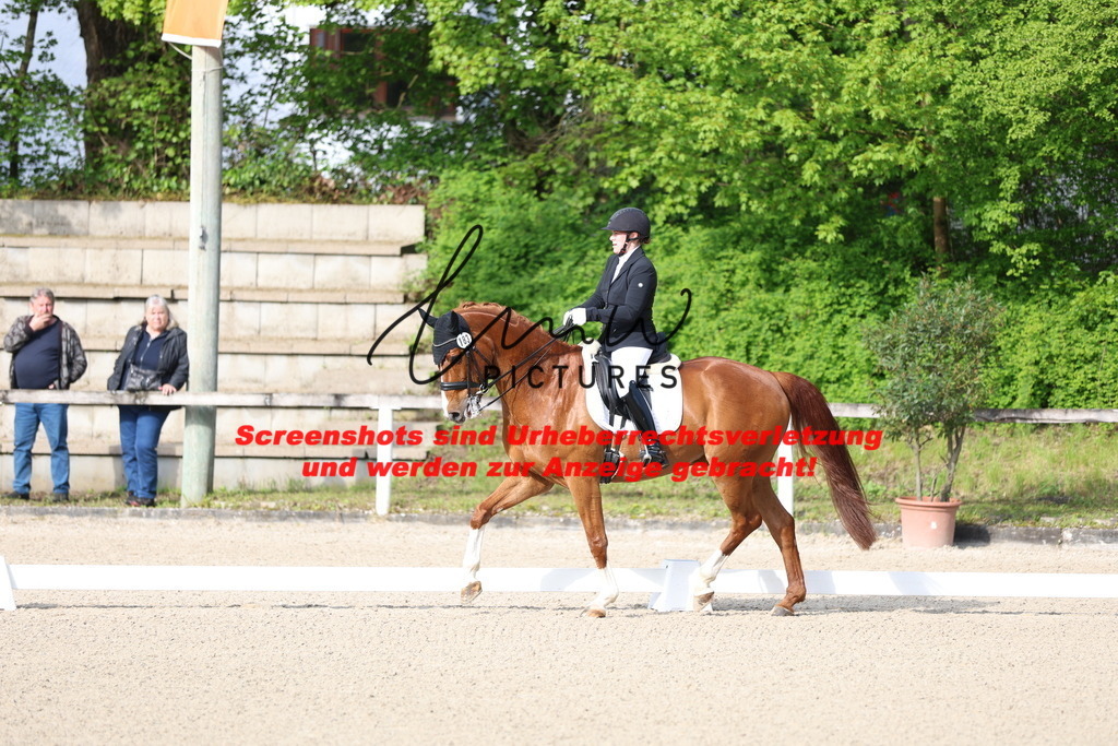 A40A3339 | lmwpictures - Realisiert mit Pictrs.com