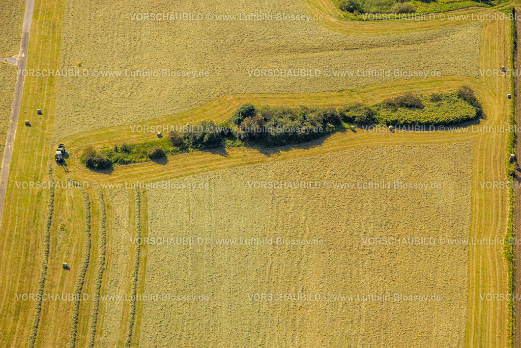 Hattingen240809770 | Luftbild, Wiese mähen und Strohballen, Feldarbeit mit Traktor auf einer Wiese in Stiepel, Bochum, Ruhrgebiet, Nordrhein-Westfalen, Deutschland