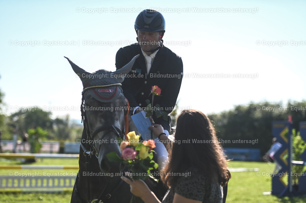 20230908_14-15_Springpferde-A_0128 | equistock