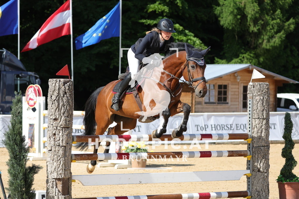 0P6A6524 | Willkommen bei Brunnmayr - Design & Fotografie – Ihrem Spezialisten für Reitturniere und Pferdeveranstaltungen in Oberösterreich, Salzburg und Bayern! Seit über 17 Jahren sind wir leidenschaftlich dabei.