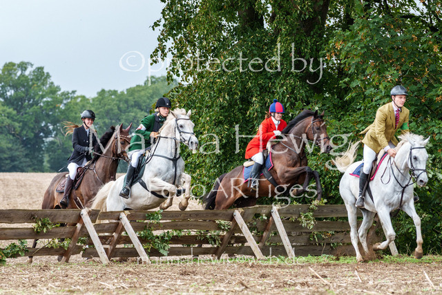 Jagd Perdoel 26 Sony-03275_MarinaHewig | Fotografie, FotoArt, PferdesportArt, Pferdesportfotografie, Landschaftsfotografie, Reisefotografie, Reise, Pferde - Realisiert mit Pictrs.com