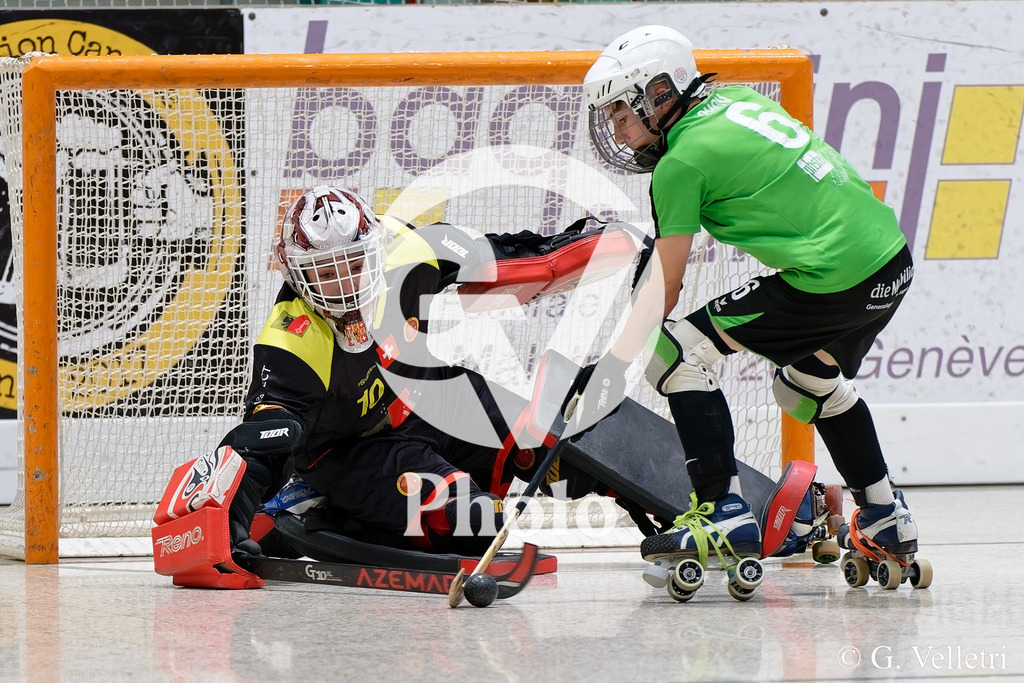 DSC_2705 | Velletri Photo